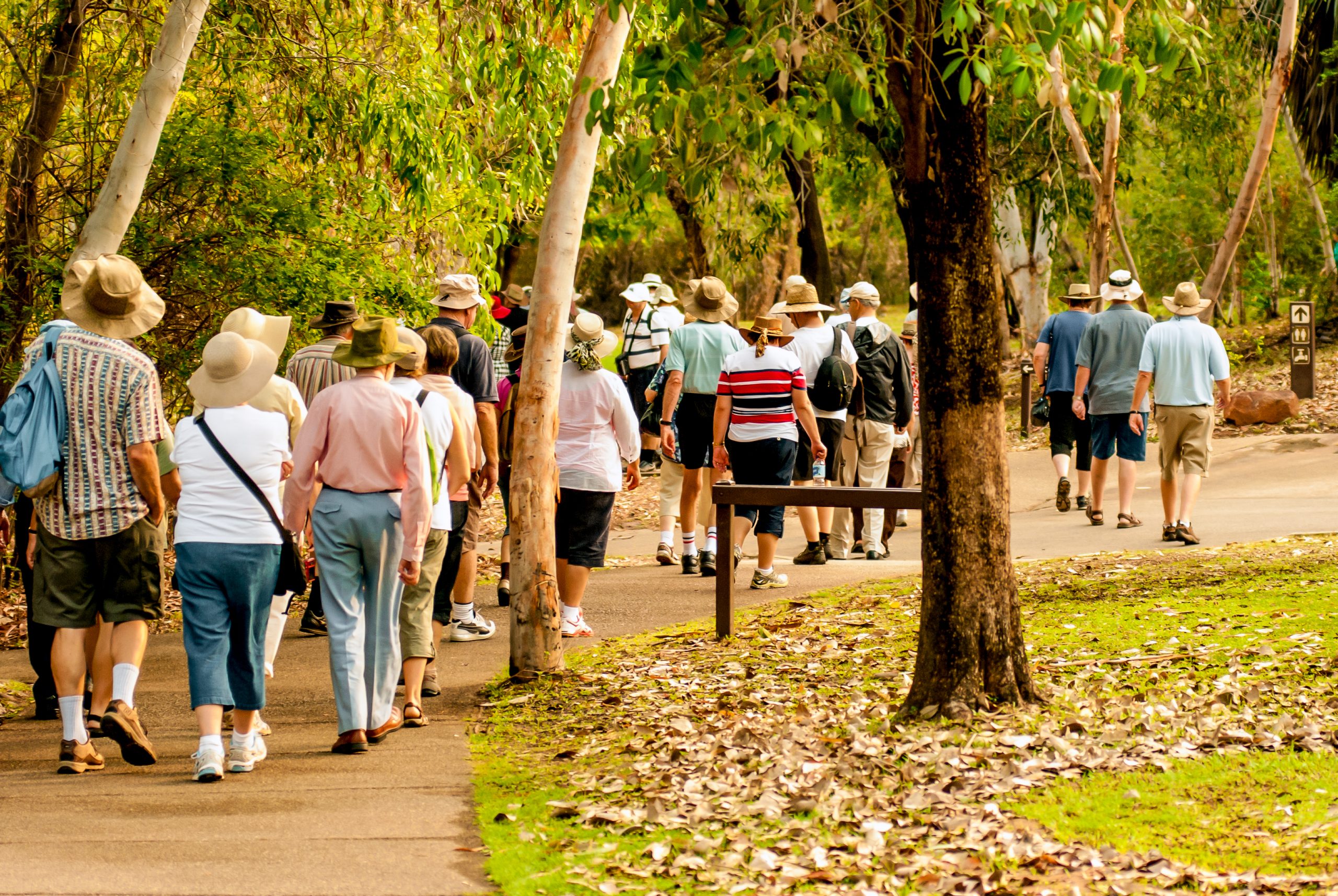 Walk Leading Course (Level 2) Active Norfolk